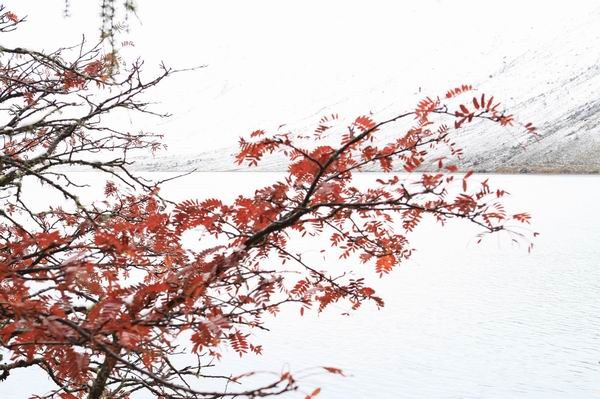 ʮһ��ľ��� (11).jpg