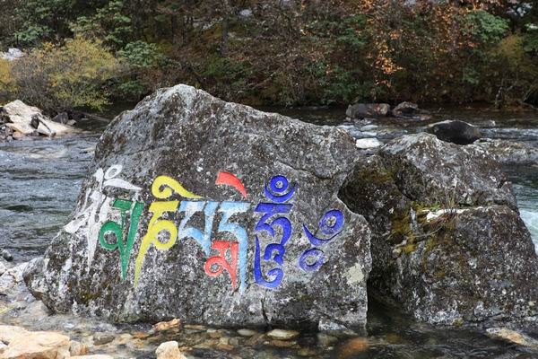 ʮһ��ľ��� (12).jpg