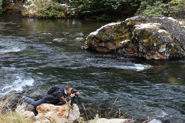 ʮһ��ľ��� (13).jpg