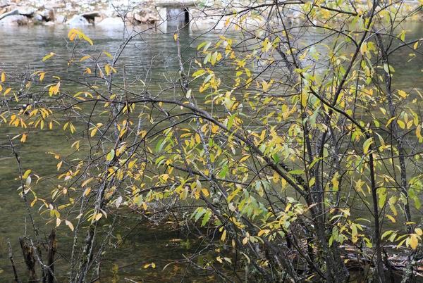 ʮһ��ľ��� (14).jpg