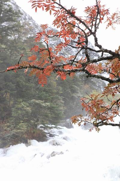 ʮһ��ľ��� (15).jpg