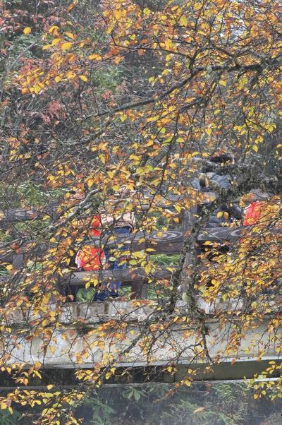 ʮһ��ľ��� (16).jpg