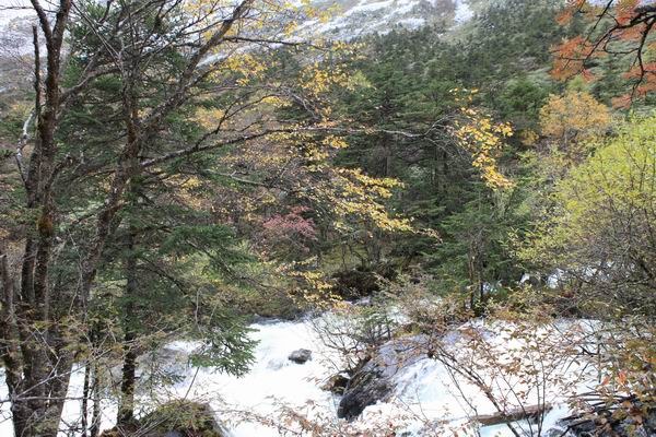 ʮһ��ľ��� (21).jpg