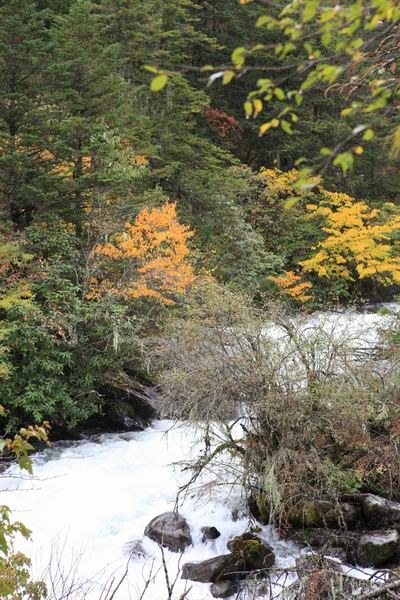 ʮһ��ľ��� (24).jpg