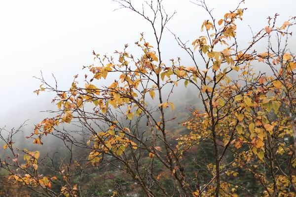 �¶��š����й� (5).JPG