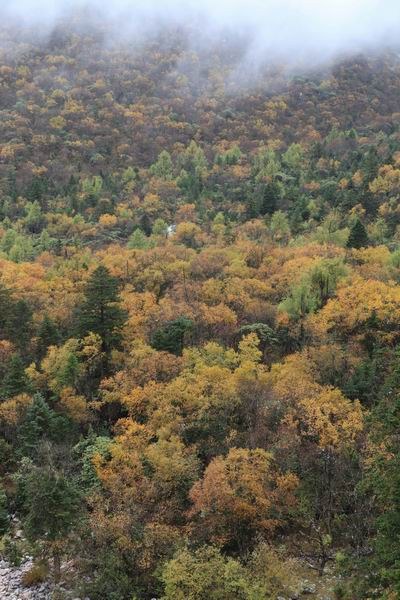 �¶��š����й� (6).JPG