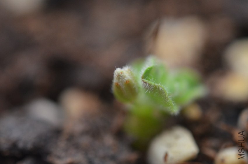 ��ë����20131007 001.JPG