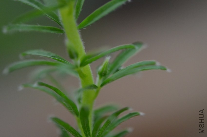 �Ƴ���20131007 001.JPG