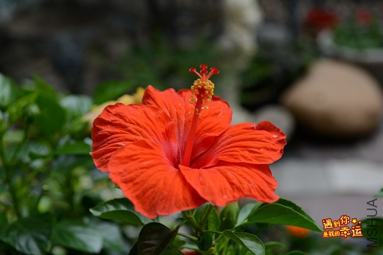 ��Ƭ 040_����.jpg