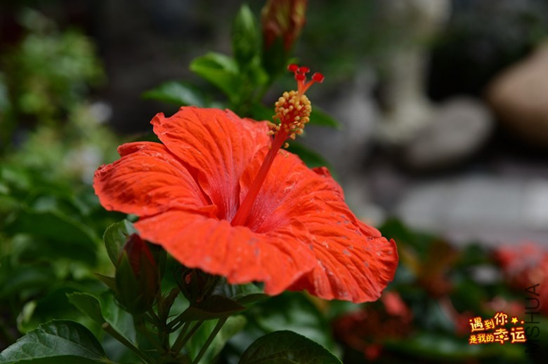 ��Ƭ 041_����.jpg