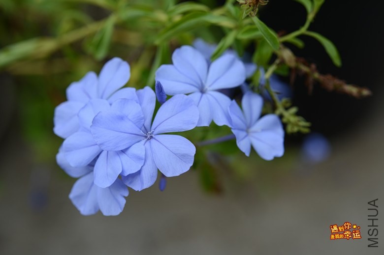 ��Ƭ 109_����.jpg