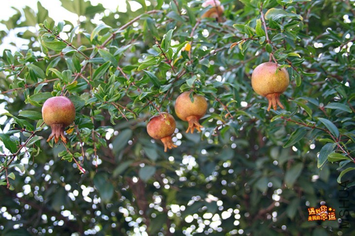 ��Ƭ 013_����.jpg