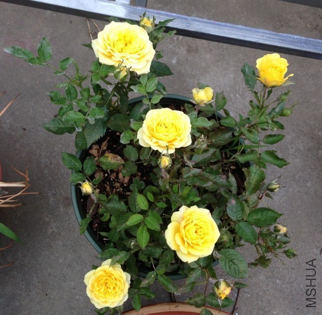 QQͼƬ20131007210112.jpg