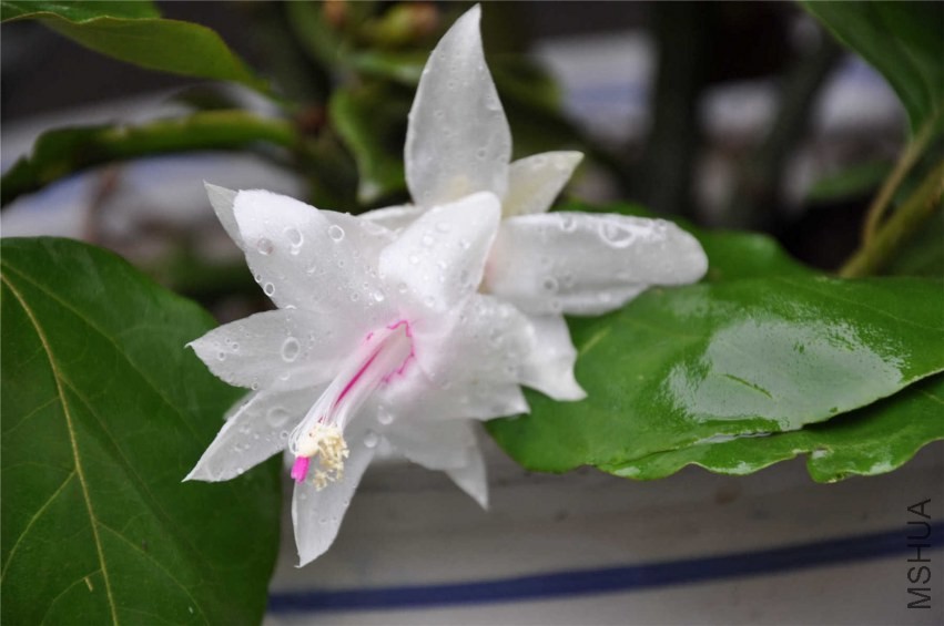 20131007 229.jpg