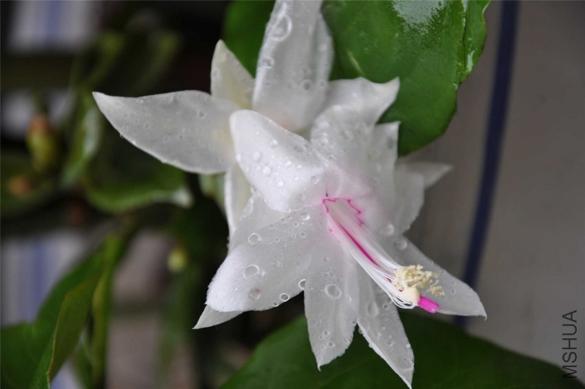20131007 227.jpg