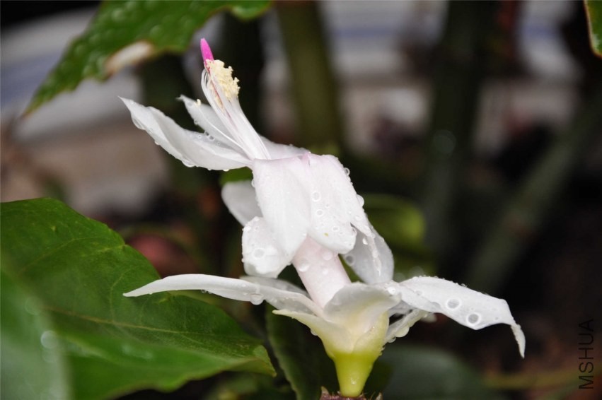 20131007 219.jpg