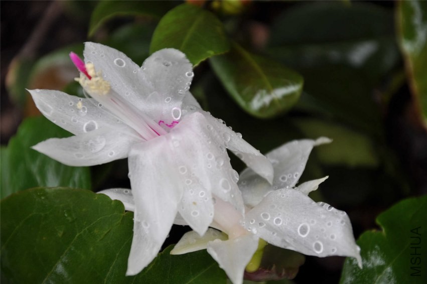 20131007 213.jpg
