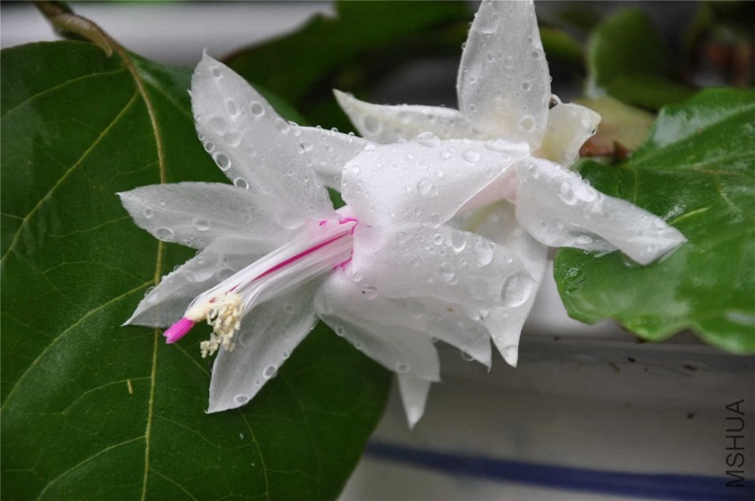 20131007 204.jpg