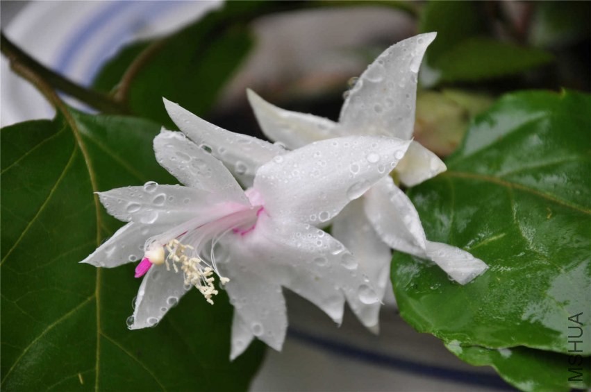 20131007 142.jpg