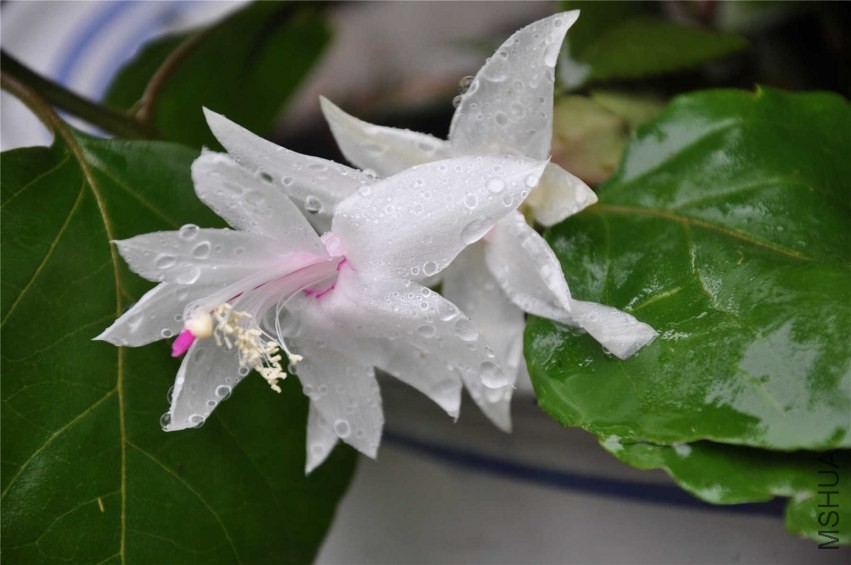 20131007 140.jpg