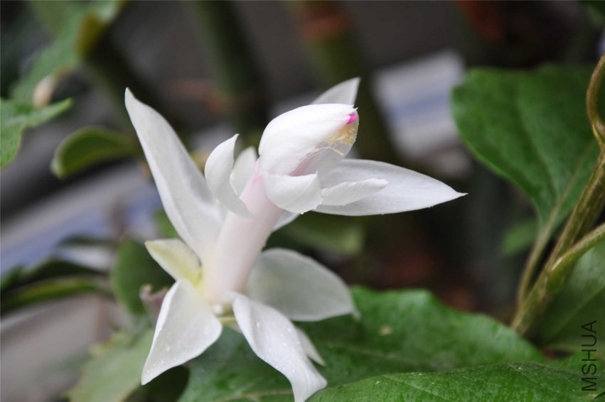 20131007 123.jpg