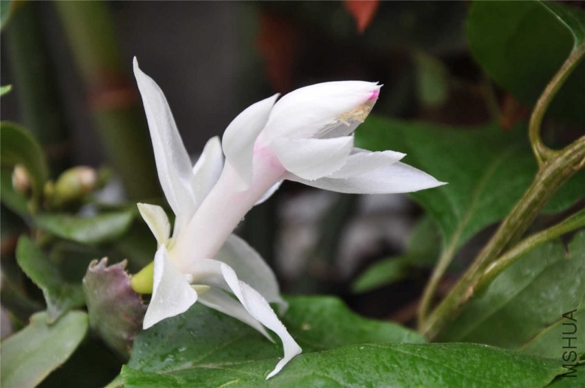 20131007 117.jpg
