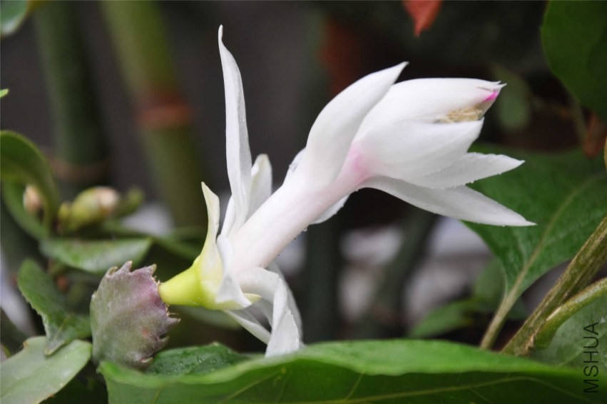 20131007 116.jpg