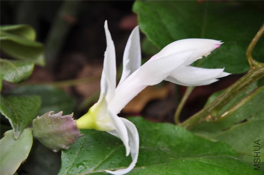20131007 114.jpg