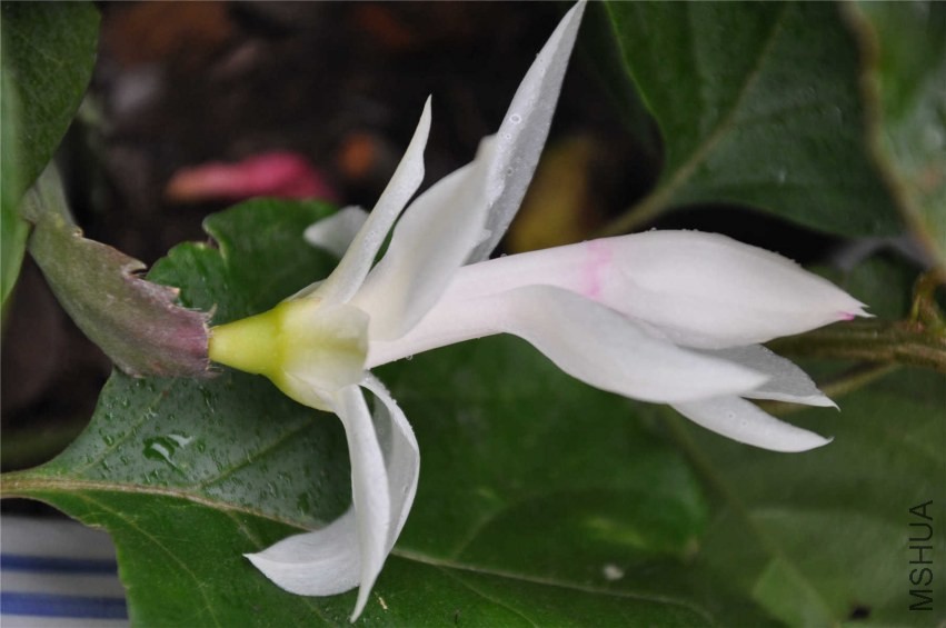 20131007 111.jpg