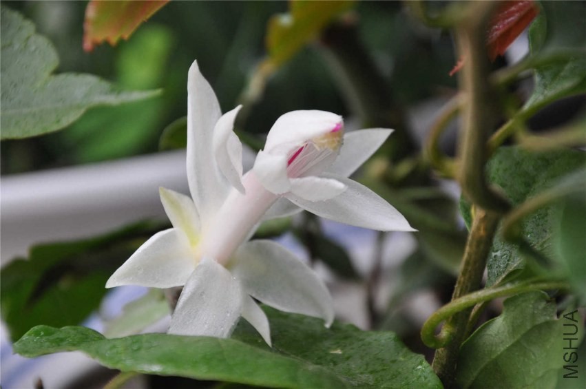 20131007 107.jpg