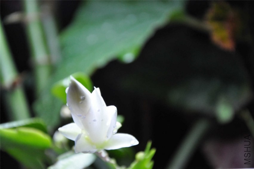20131004 146.jpg