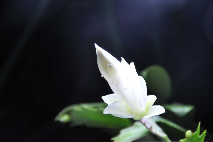 20131004 141.jpg