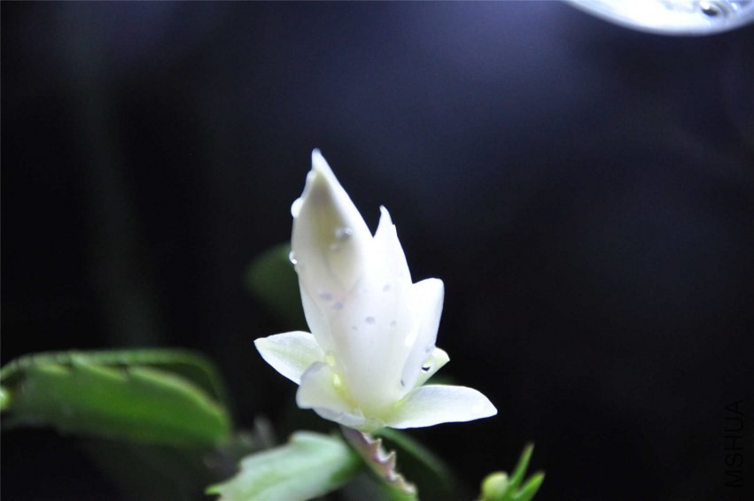 20131004 139.jpg