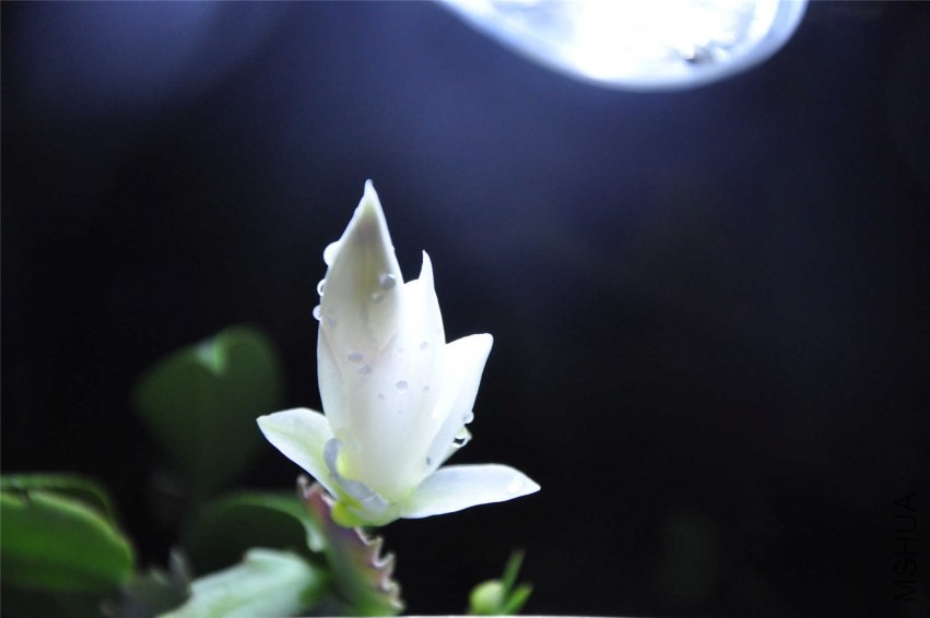 20131004 136.jpg