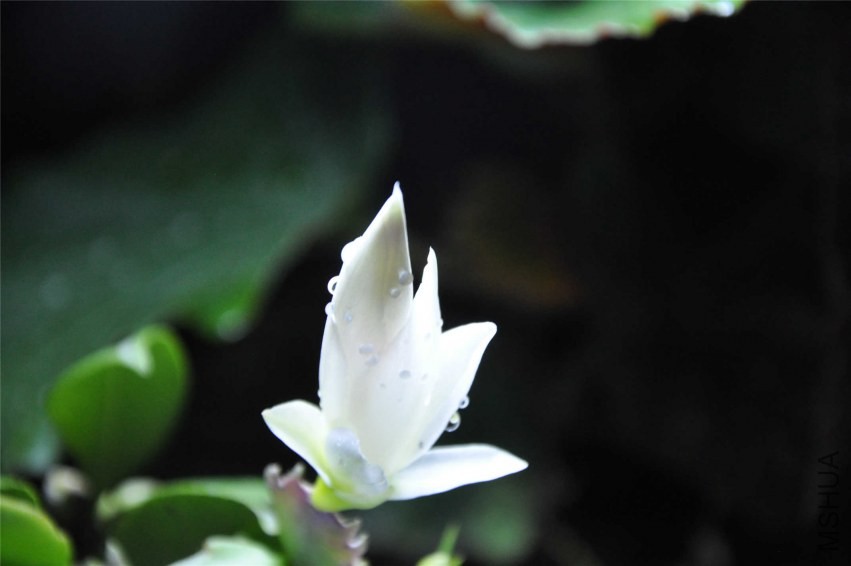 20131004 133.jpg