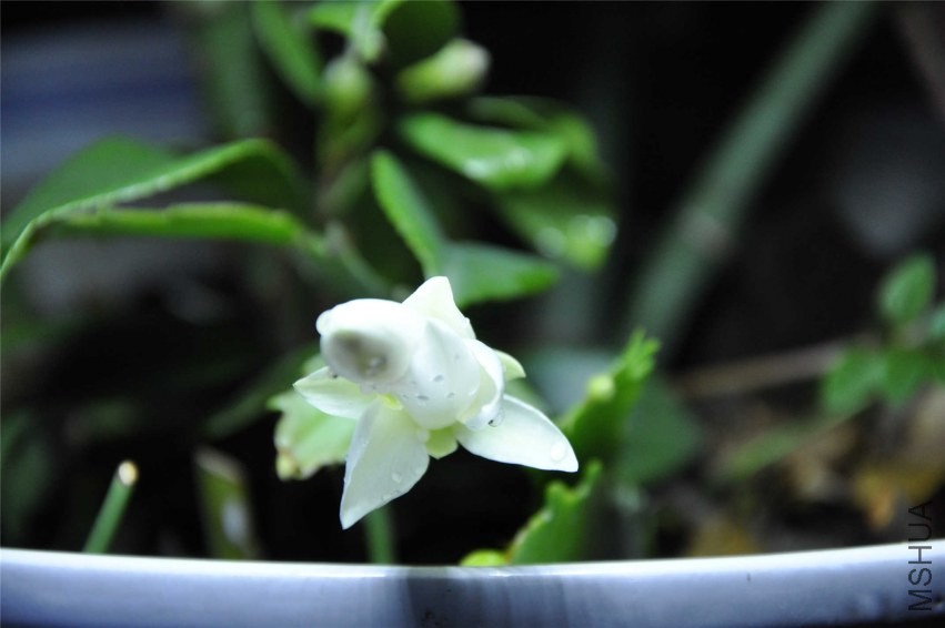 20131004 126.jpg