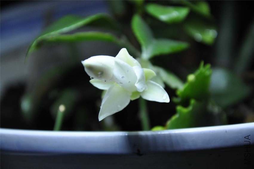 20131004 125.jpg