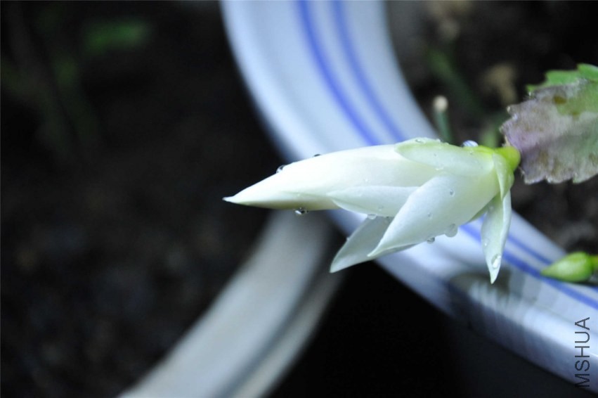 20131004 123.jpg