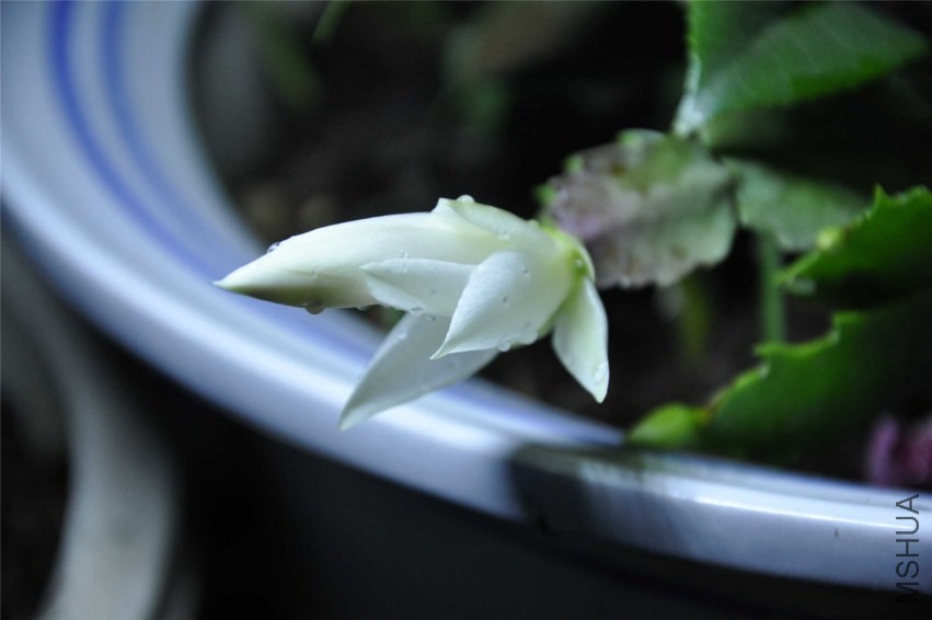 20131004 122.jpg