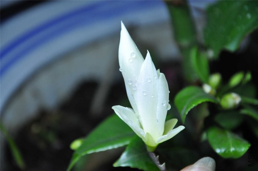 20131004 119.jpg