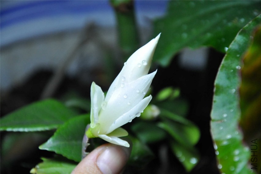 20131004 111.jpg