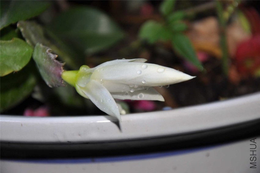 20131004 107.jpg
