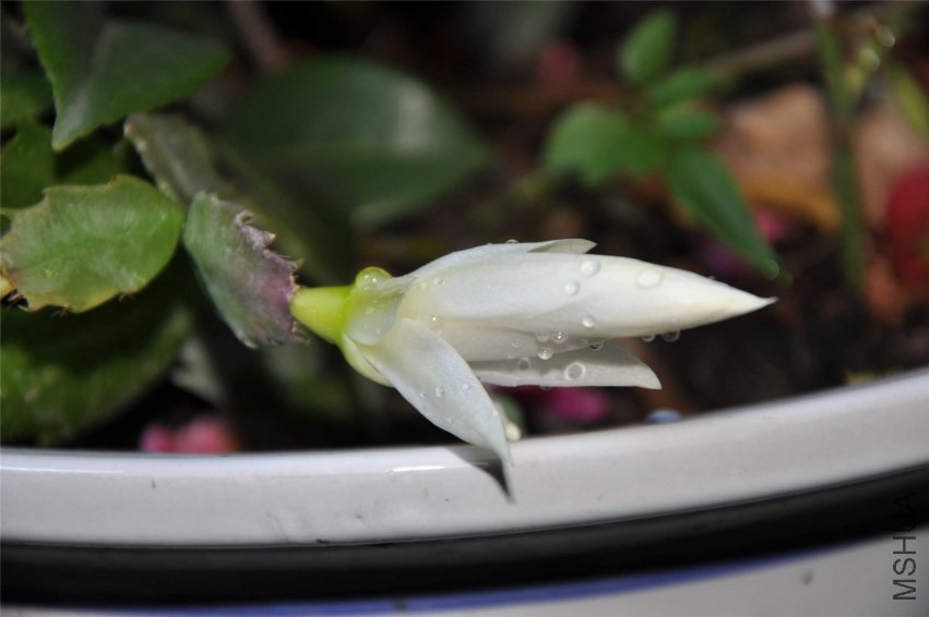 20131004 106.jpg