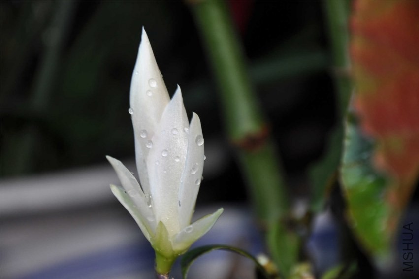 20131004 101.jpg