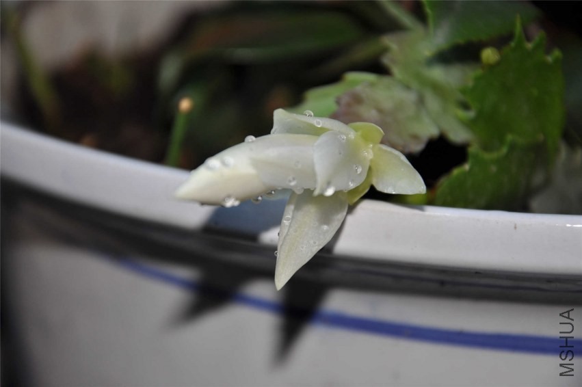 20131004 093.jpg
