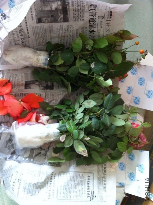 QQͼƬ20131008101216.jpg