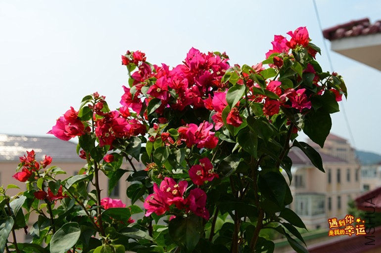 ��Ƭ 030_����.jpg