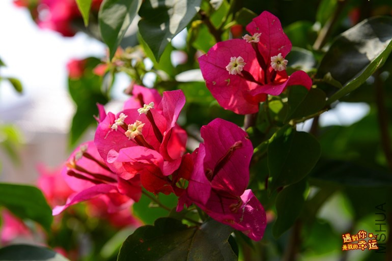 ��Ƭ 032_����.jpg