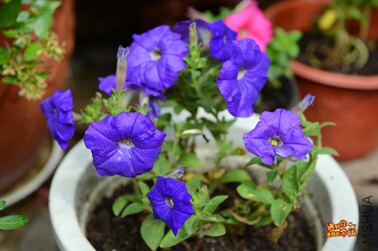 ��Ƭ 058_����.jpg