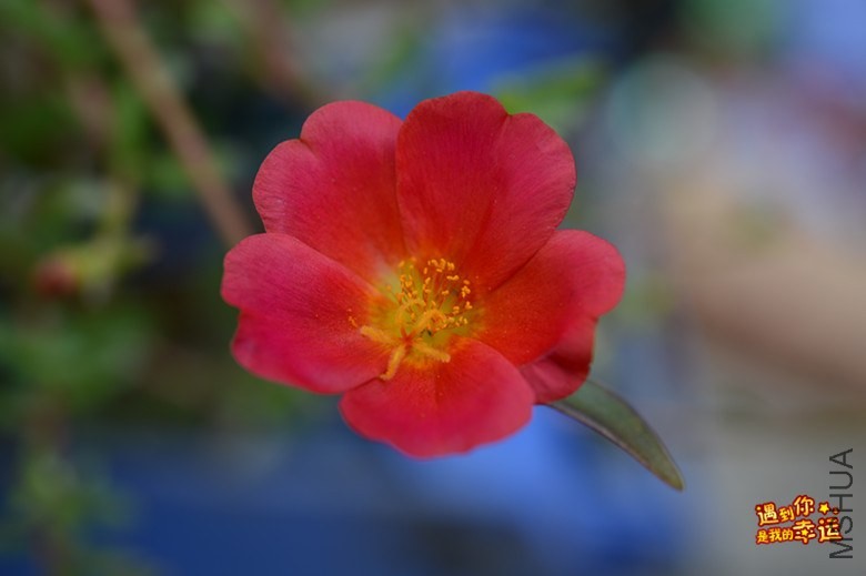 ��Ƭ 100_����.jpg